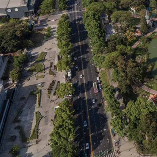 Bulevar arbolado de Palermo